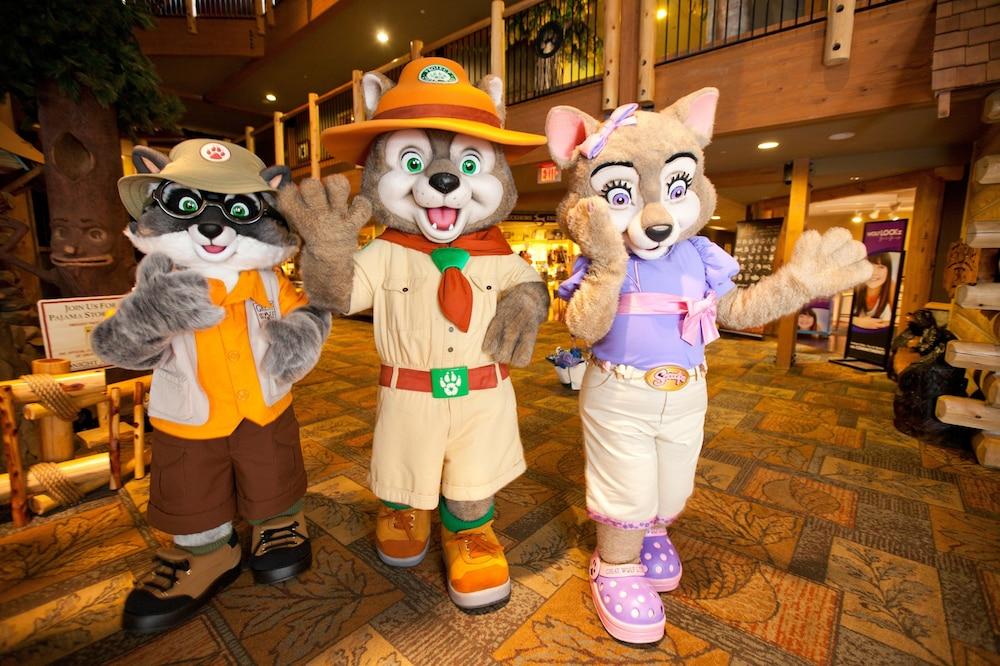 Great Wolf Lodge Конкорд Экстерьер фото